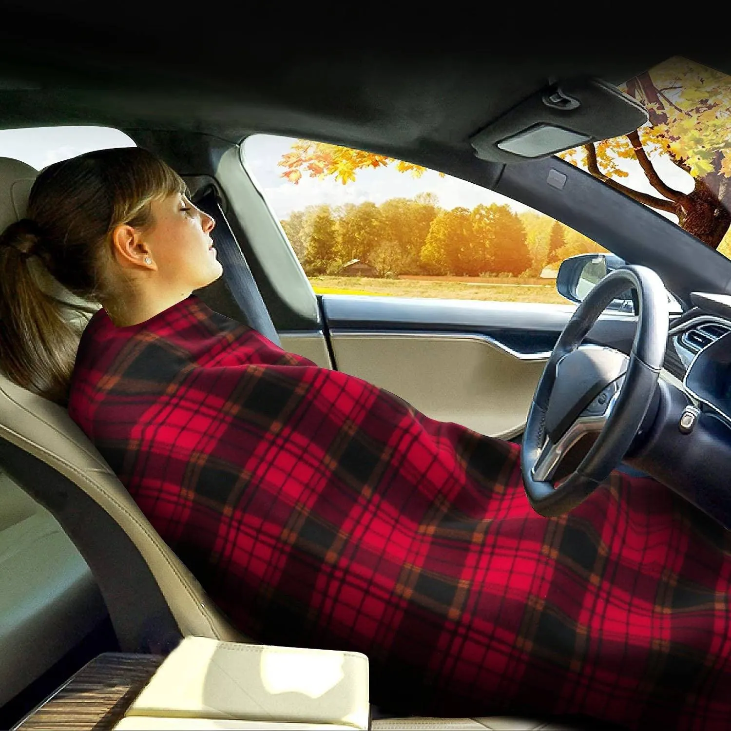 12V Electric Car Heated Blanket