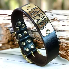 1.5" Wide Dog Collar with Stallion Size Nameplate