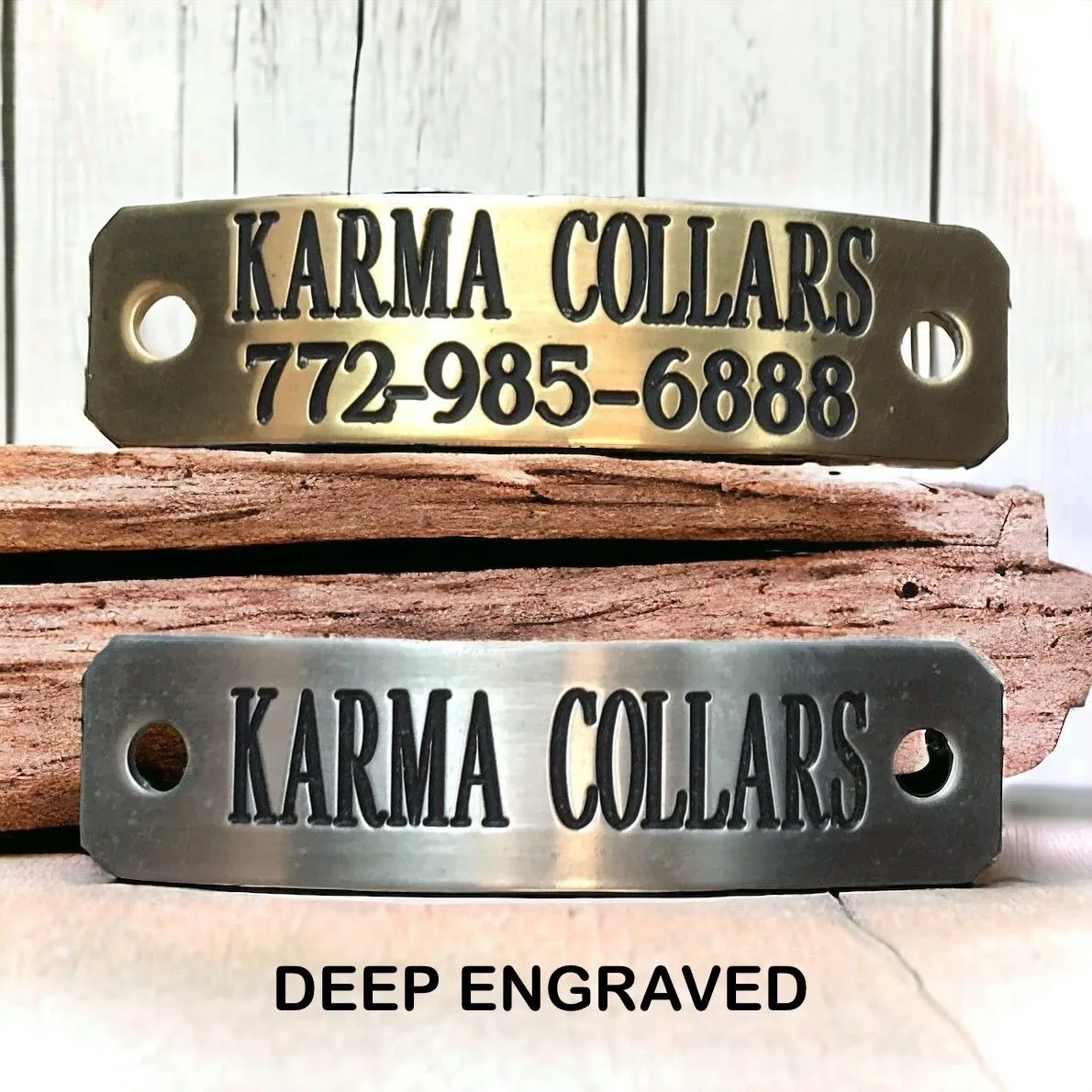 1.5" Wide Dog Collar with Stallion Size Nameplate