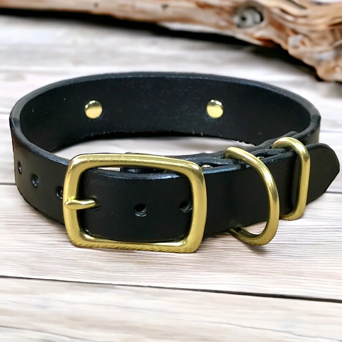 1.5" Wide Dog Collar with Stallion Size Nameplate