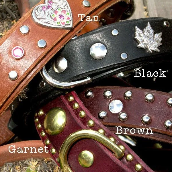1.5" Wide Dog Collar with Stallion Size Nameplate