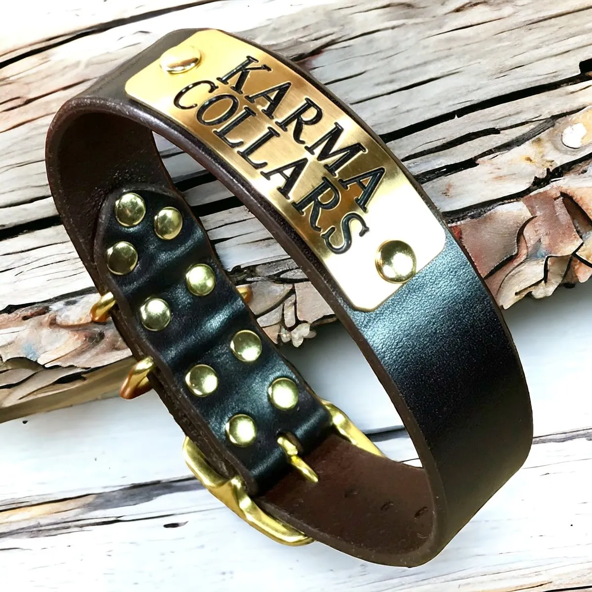 1.5" Wide Dog Collar with Stallion Size Nameplate