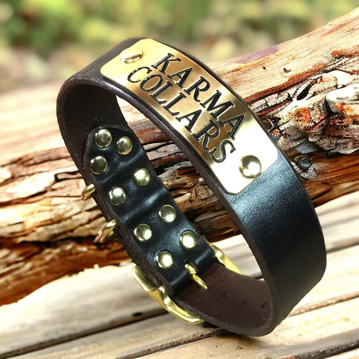 1.5" Wide Dog Collar with Stallion Size Nameplate