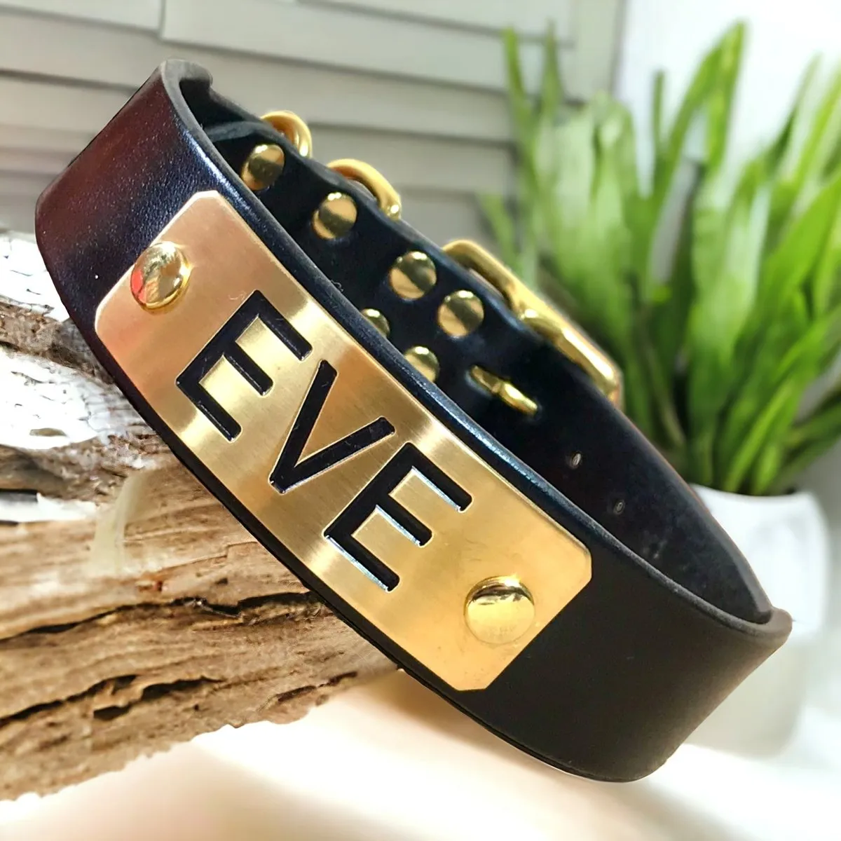 1.5" Wide Dog Collar with Stallion Size Nameplate