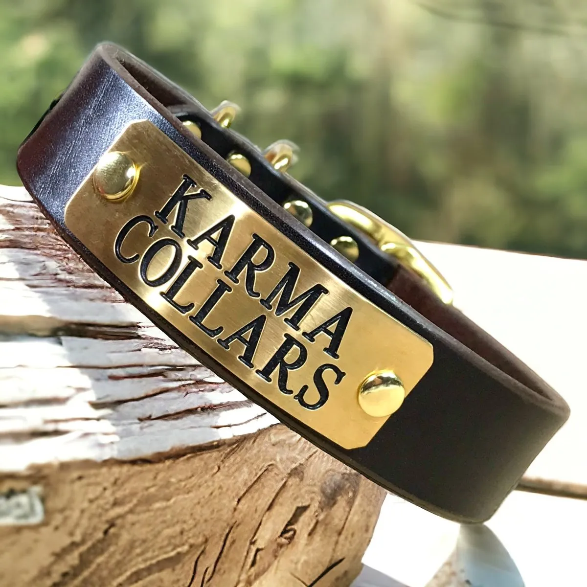 1.5" Wide Dog Collar with Stallion Size Nameplate