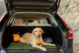 3 in 1 All Trails Everest Olive Car Protector and Mat