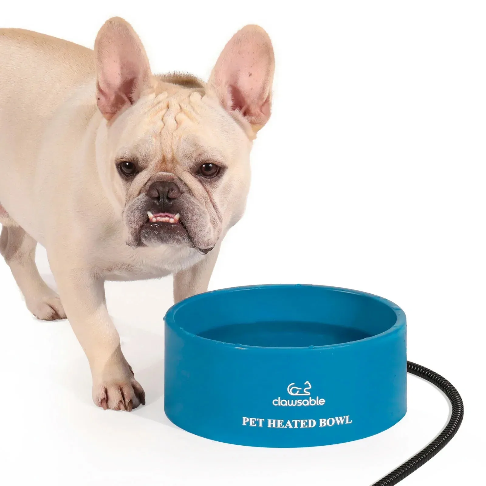 3.2L Extra-Large Heated Pet Bowl