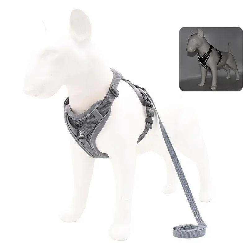 Adjustable Dog Leash