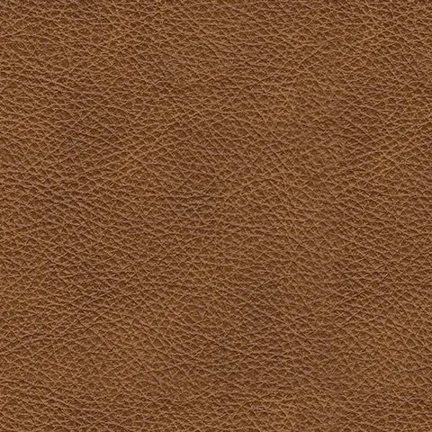 Carianna Queen Sofa Sleeper