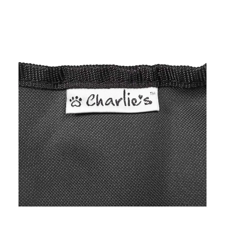 Charlies Portable And Foldable Outdoor Pet Chair
