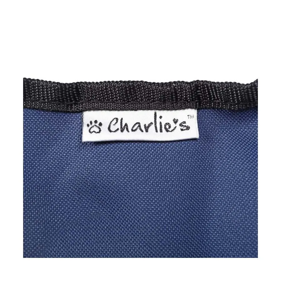 Charlies Portable And Foldable Outdoor Pet Chair