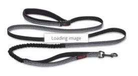 Company of Animals Halti All In One Lead for Dogs Black