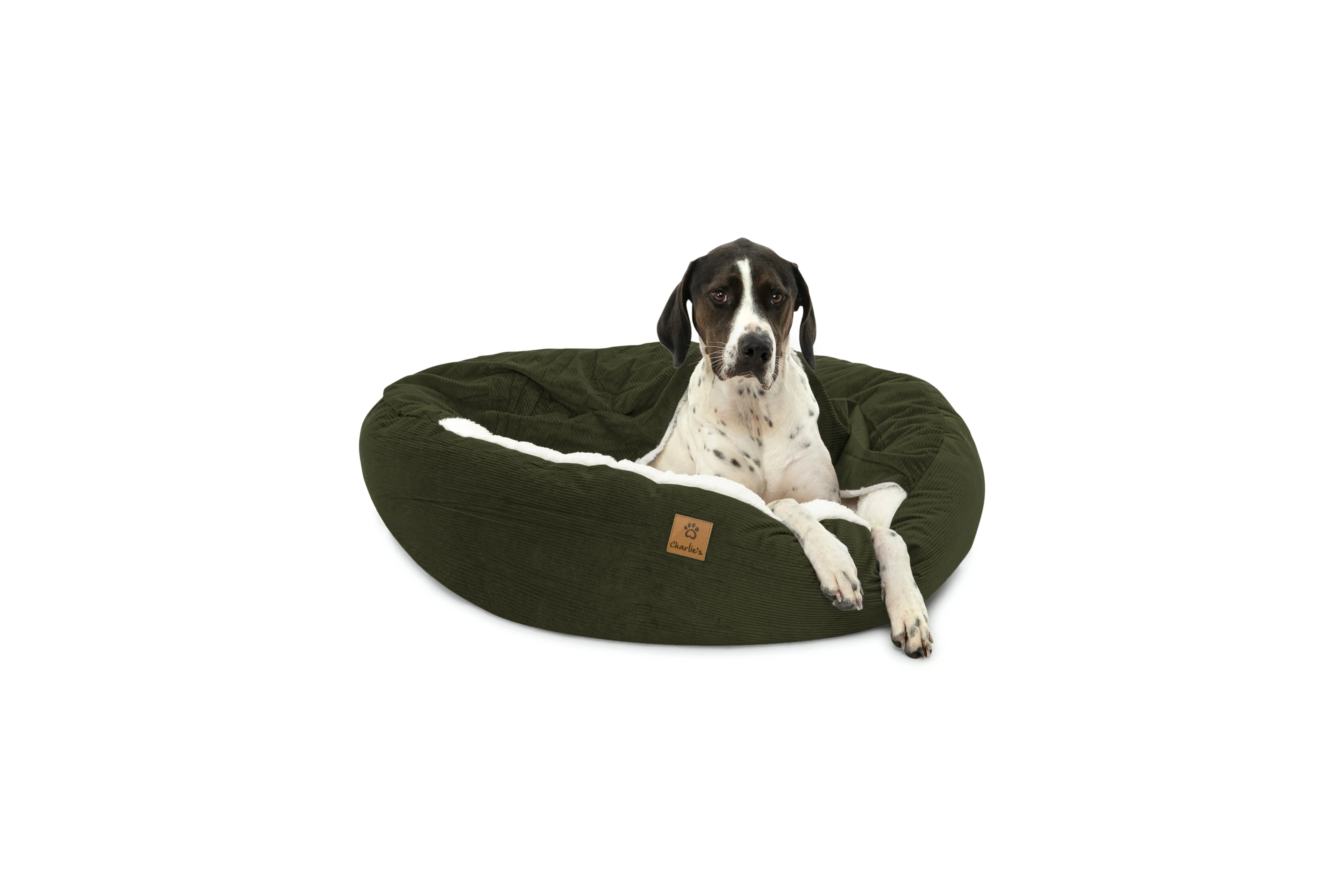 Cushioned Snookie - Olive
