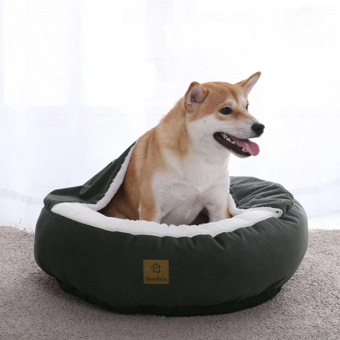 Cushioned Snookie - Olive