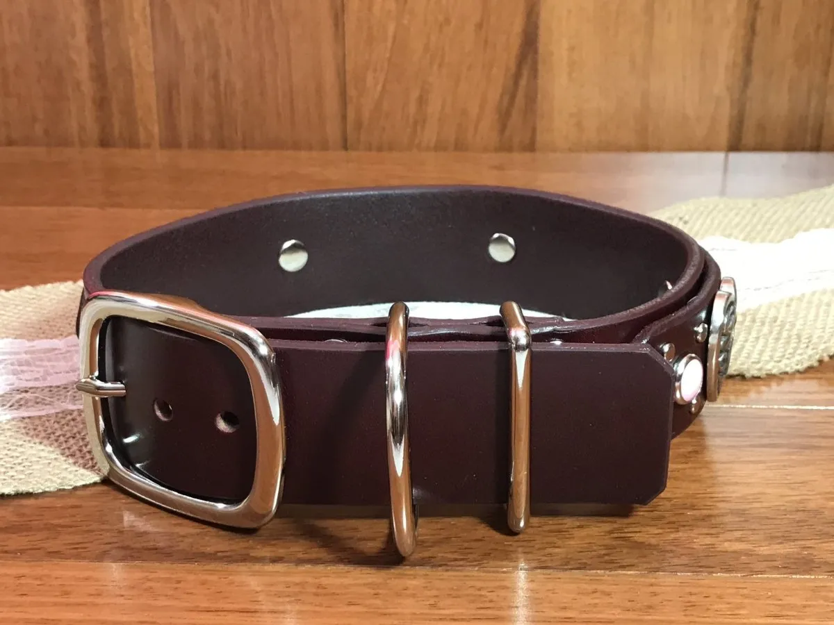 Custom Leather Dog Collar Celtic