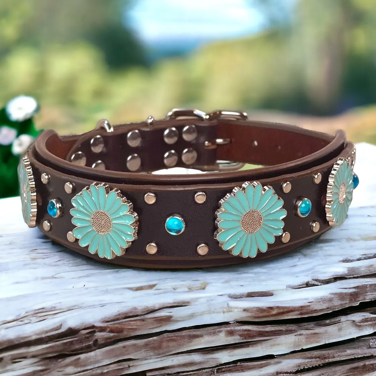 Custom Leather Dog Collar Sunflower