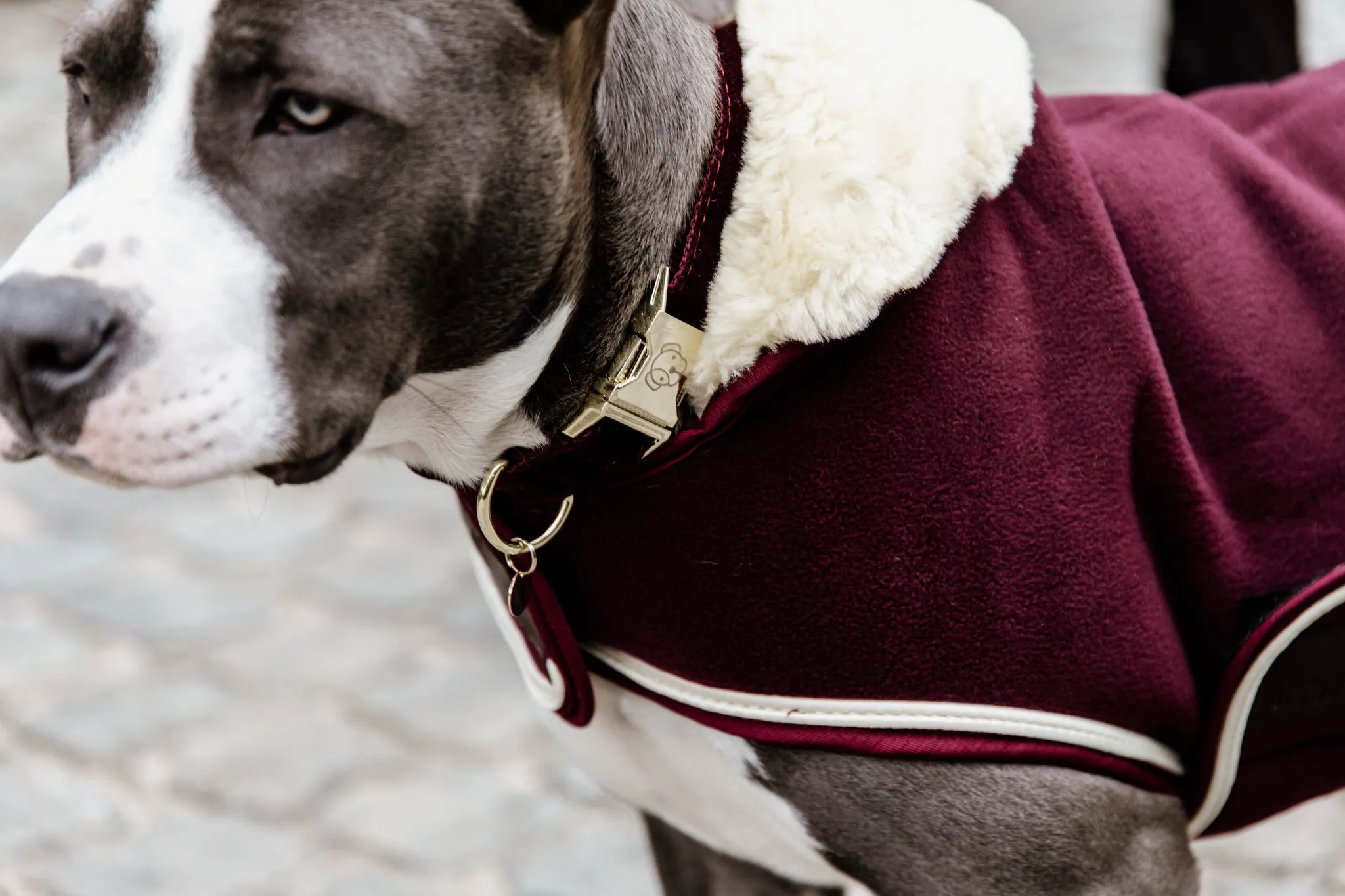 Dog Coat Heavy Fleece