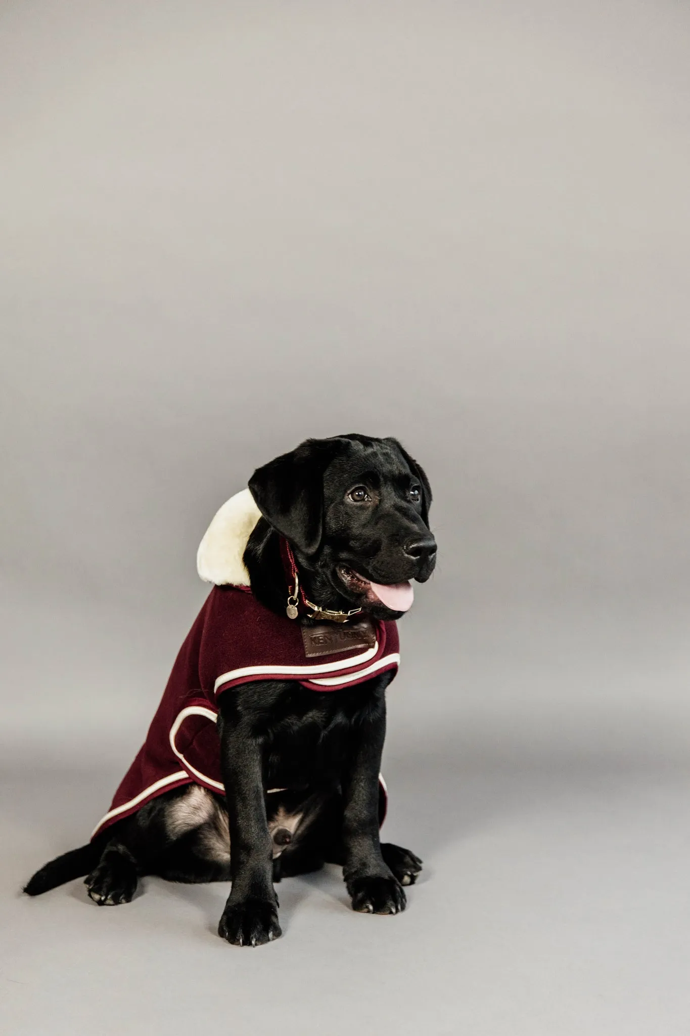 Dog Coat Heavy Fleece