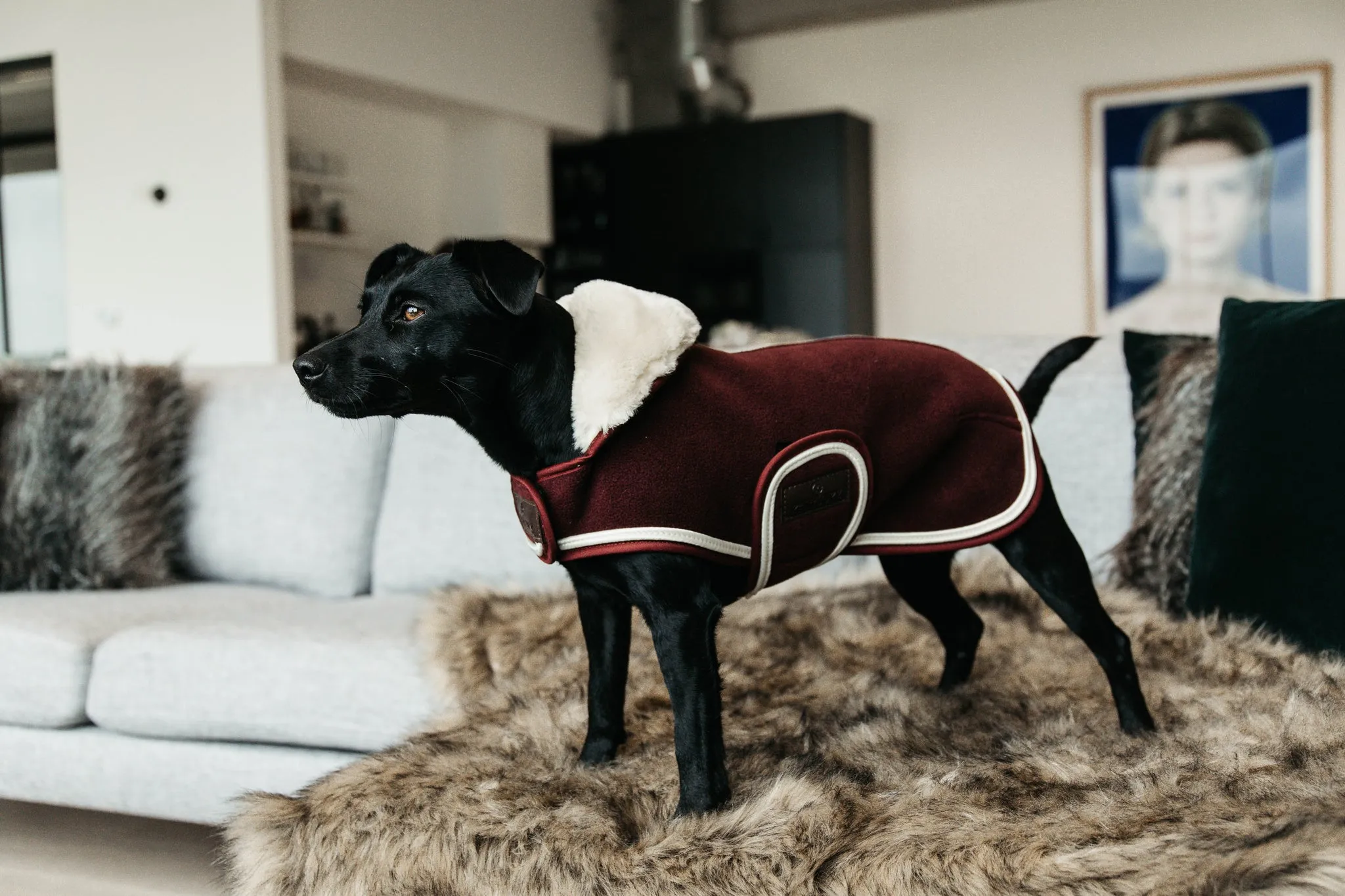 Dog Coat Heavy Fleece