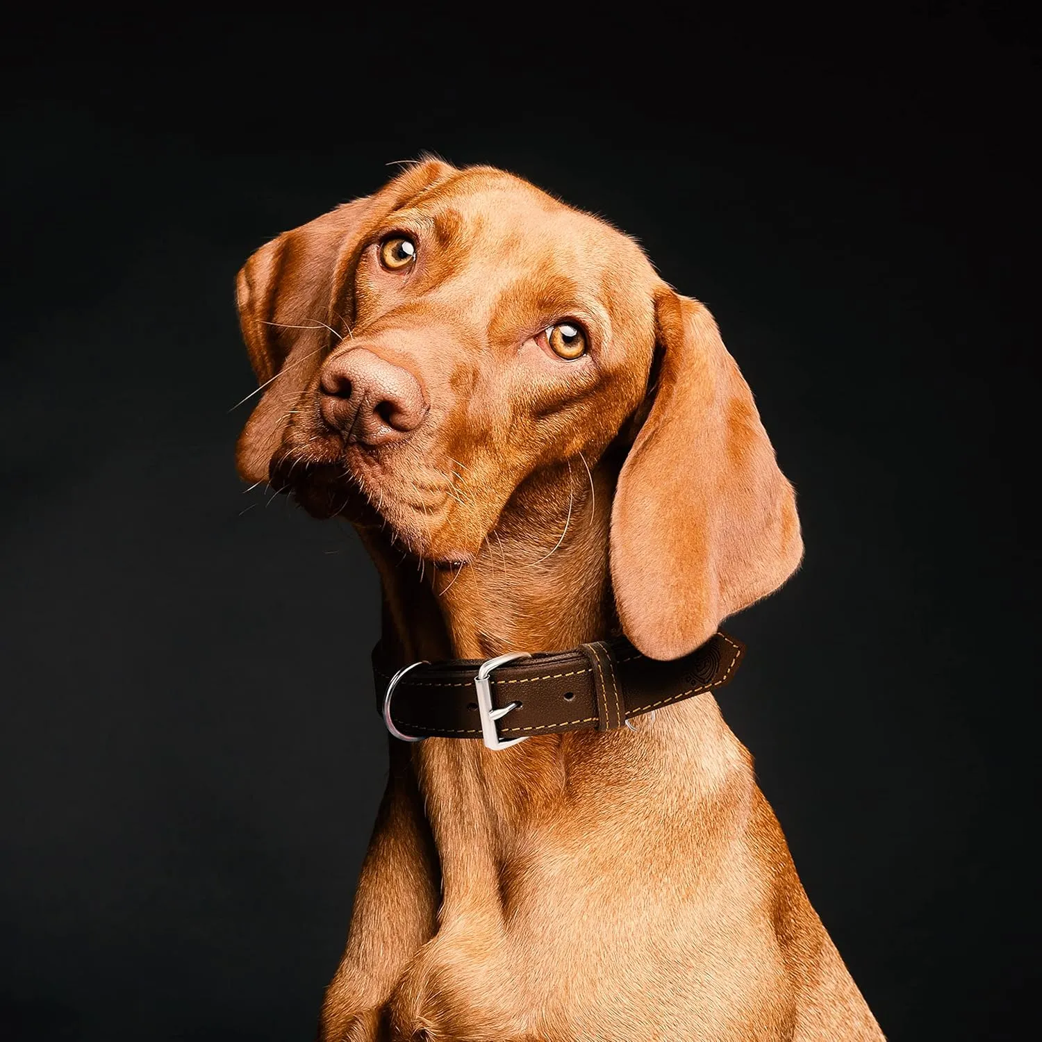 Dog Collar - Genuine Leather Dog Collar - Heavy Duty Hardware for Large and Extra Large Dog Breeds - Brown