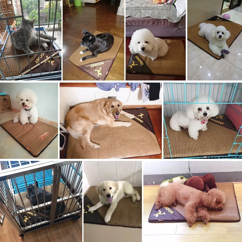 Dog Cooling Mat