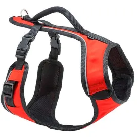 EasySport Dog Harness