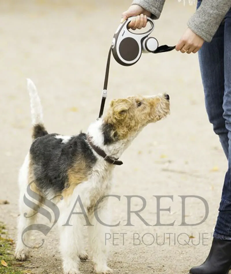 Flexi Leash Add-ons