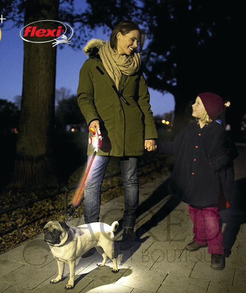 Flexi Leash Add-ons