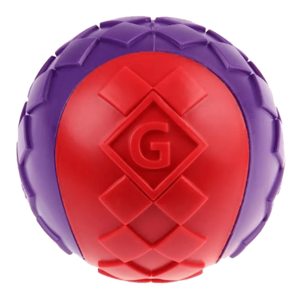 Gigwi Ball Dog Toy Small