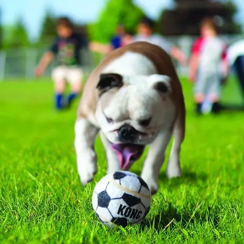 KONG Sports Balls Dog Toy 3 Pack Medium