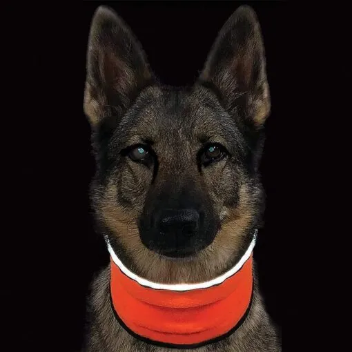 Muttluks MuTTravel ViziNek Reflective Trim Dog Gaiter Orange (Small)