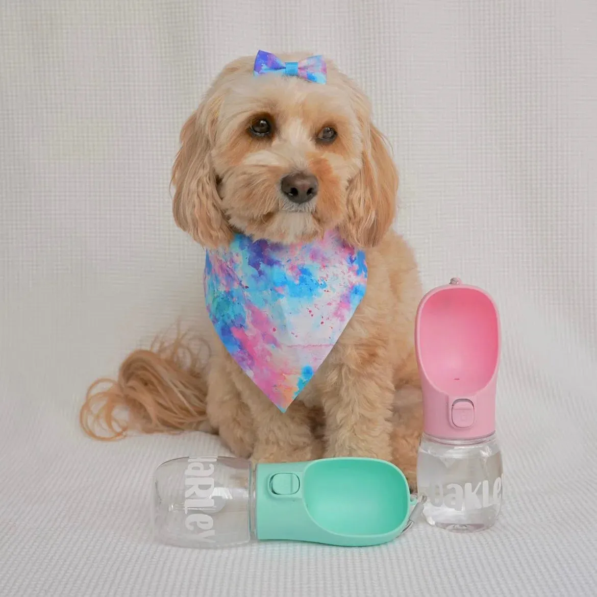 Personalised Pet Portable Water Bottle