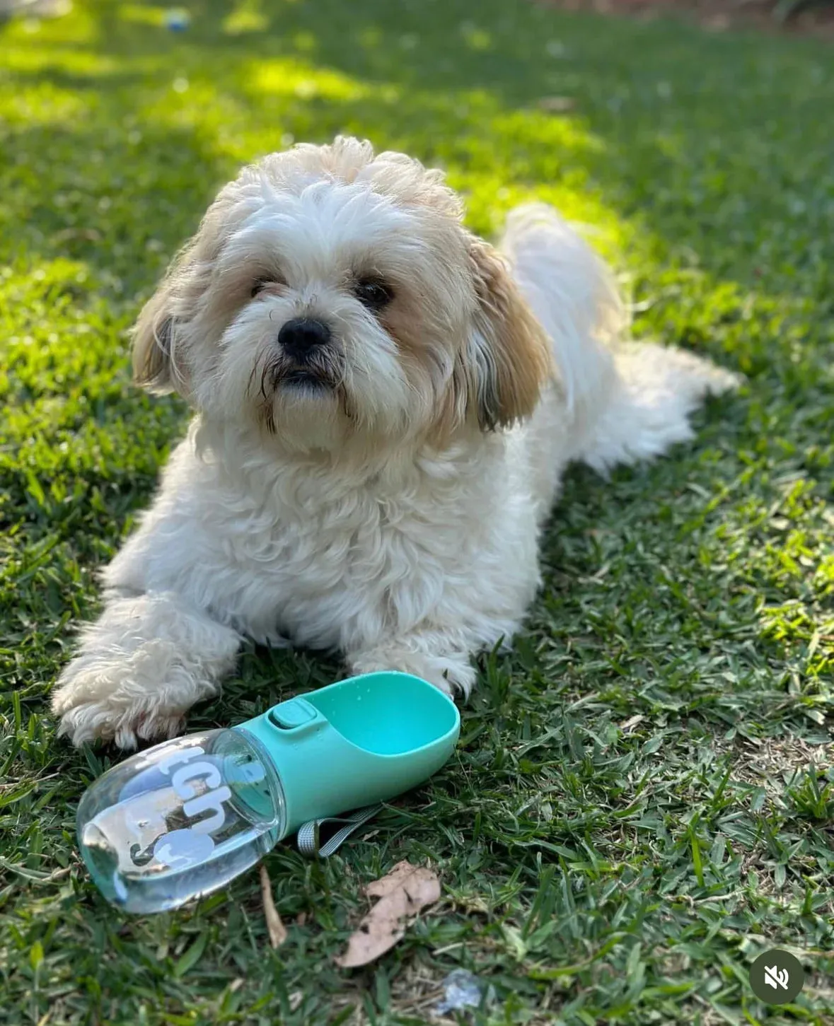 Personalised Pet Portable Water Bottle