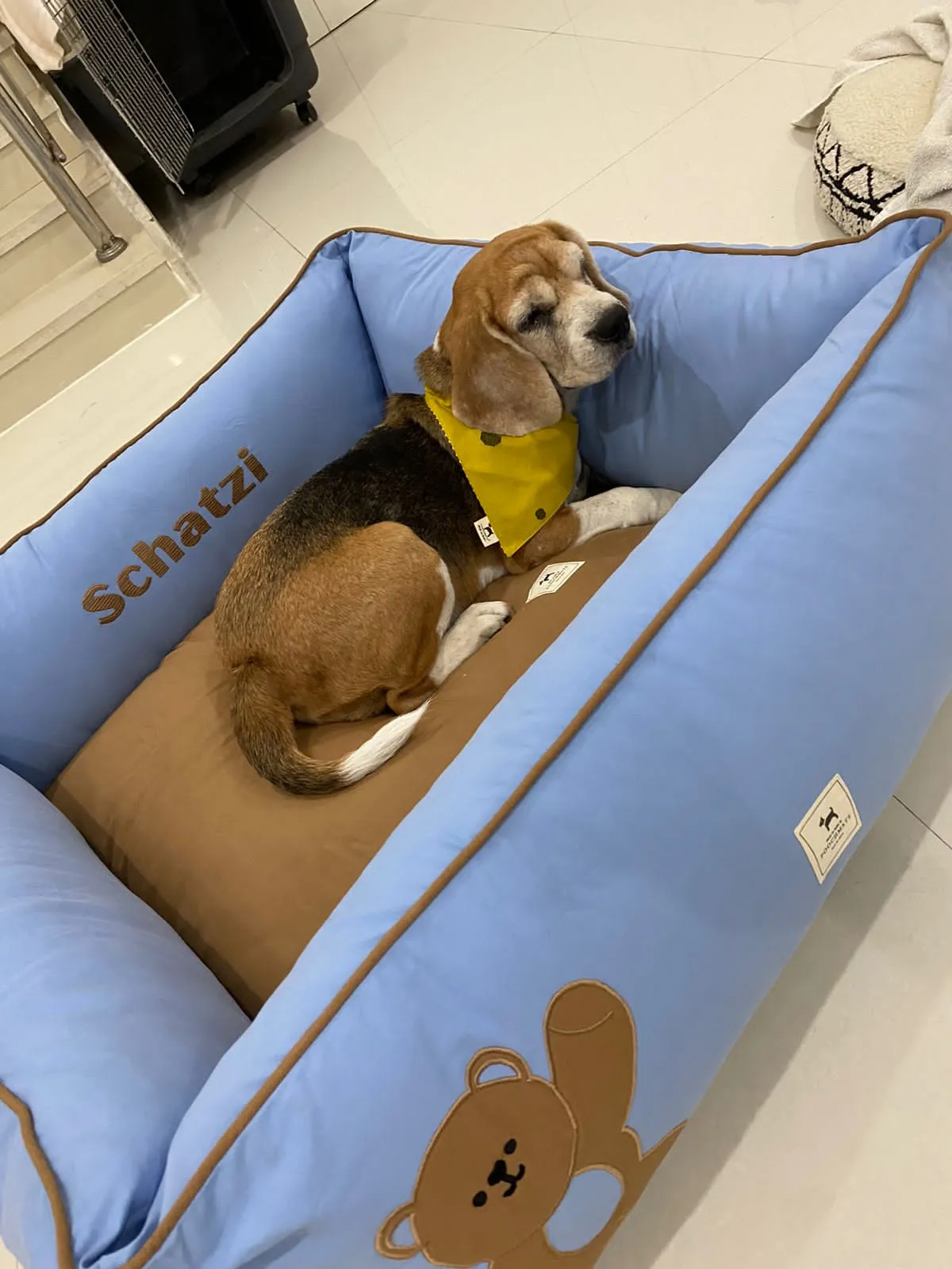 PoochMate Cornflower Blue & Sand Cuddle Bear Dog Bed