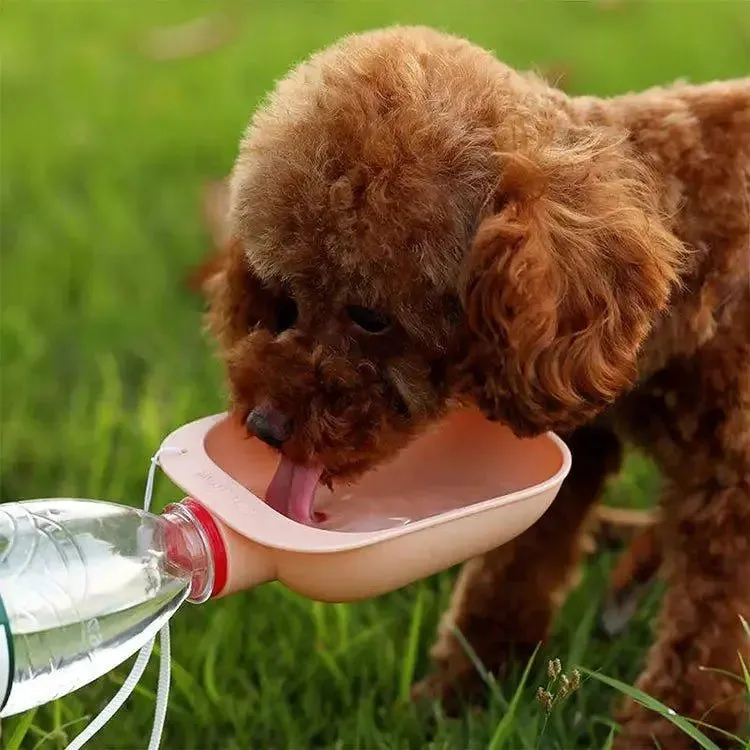 Portable Travel Dog Hydration Bowl