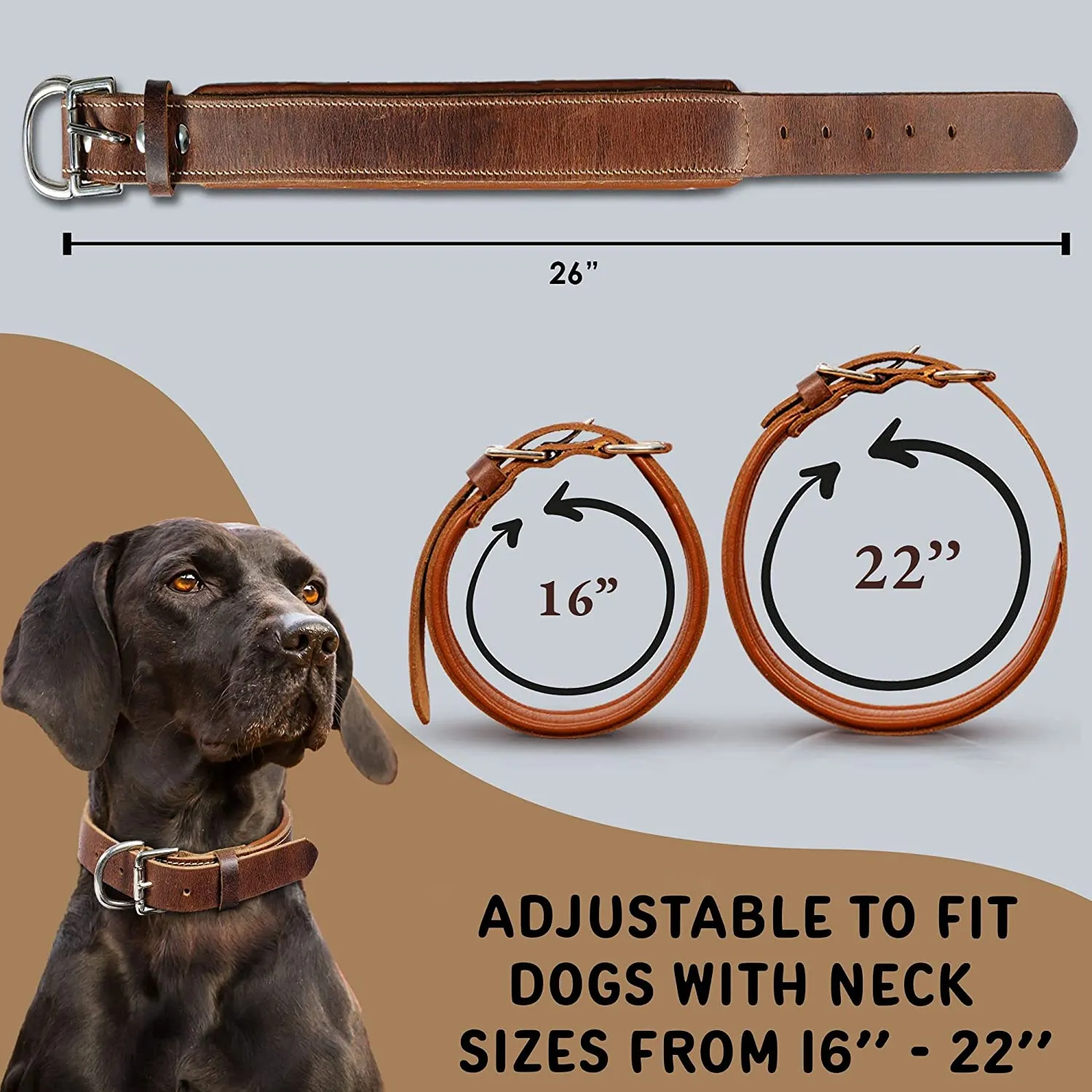 RAWHYD - Leather Dog Collar - Adjustable Fit - 24.2” x 1.3” - Bourbon Brown