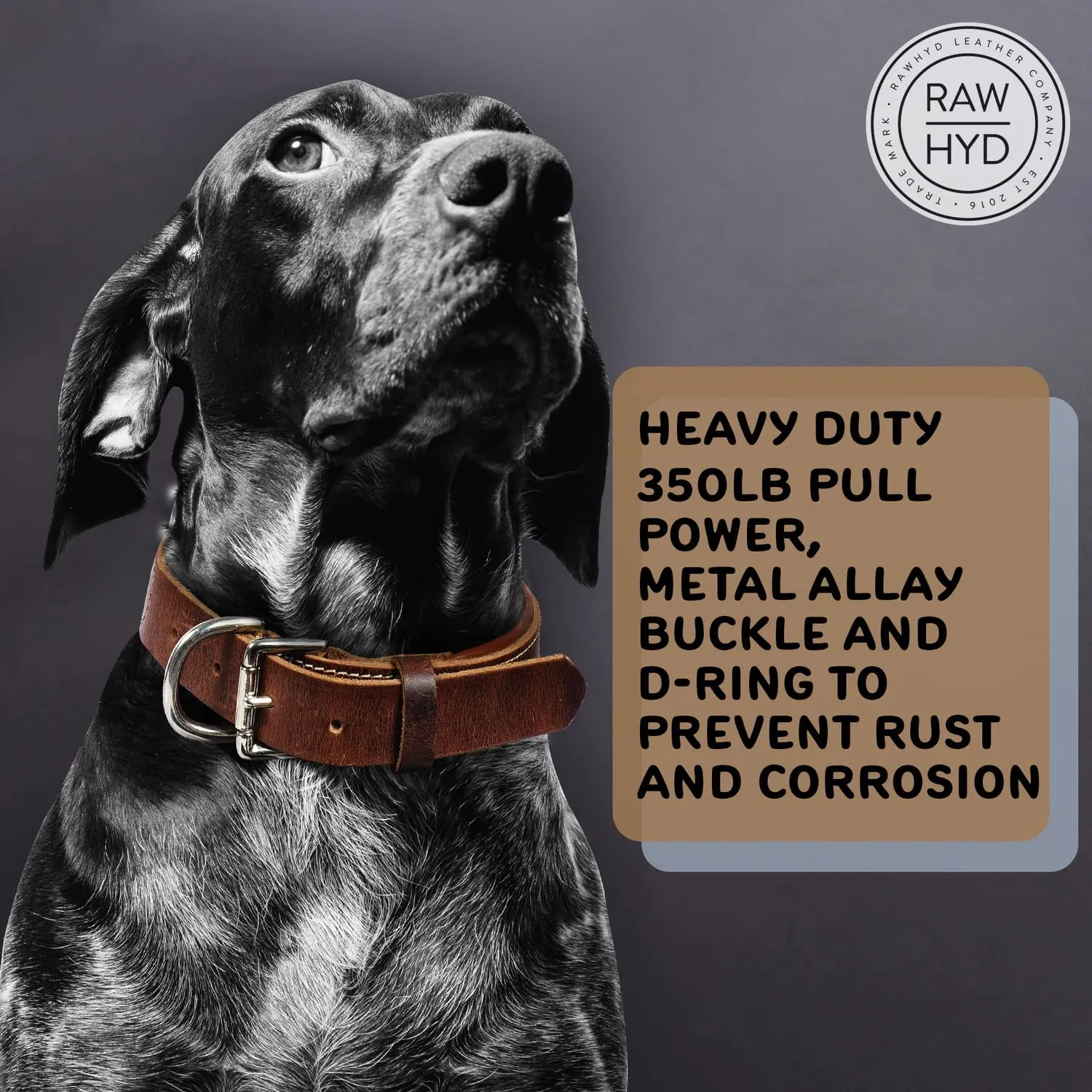 RAWHYD - Leather Dog Collar - Adjustable Fit - 24.2” x 1.3” - Bourbon Brown