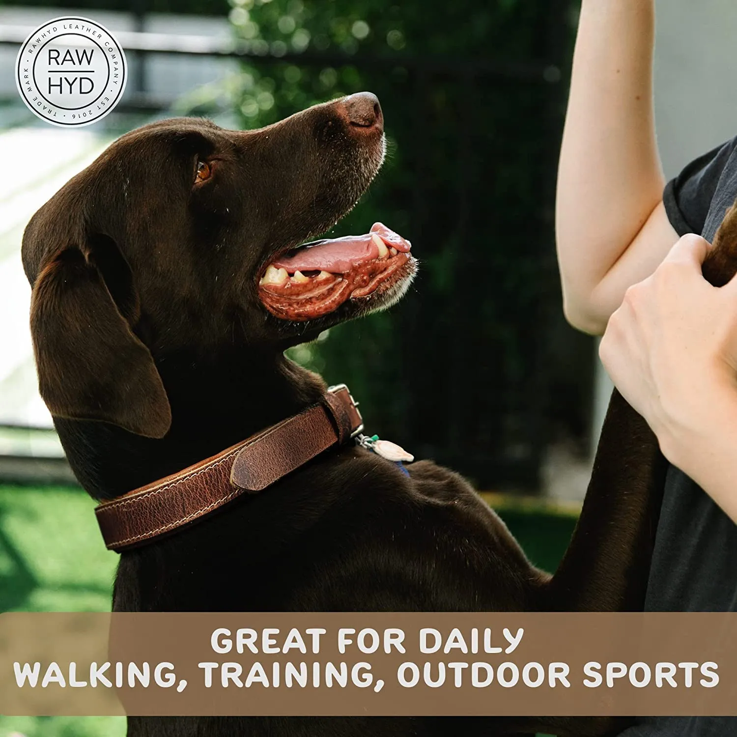 RAWHYD - Leather Dog Collar - Adjustable Fit - 24.2” x 1.3” - Bourbon Brown