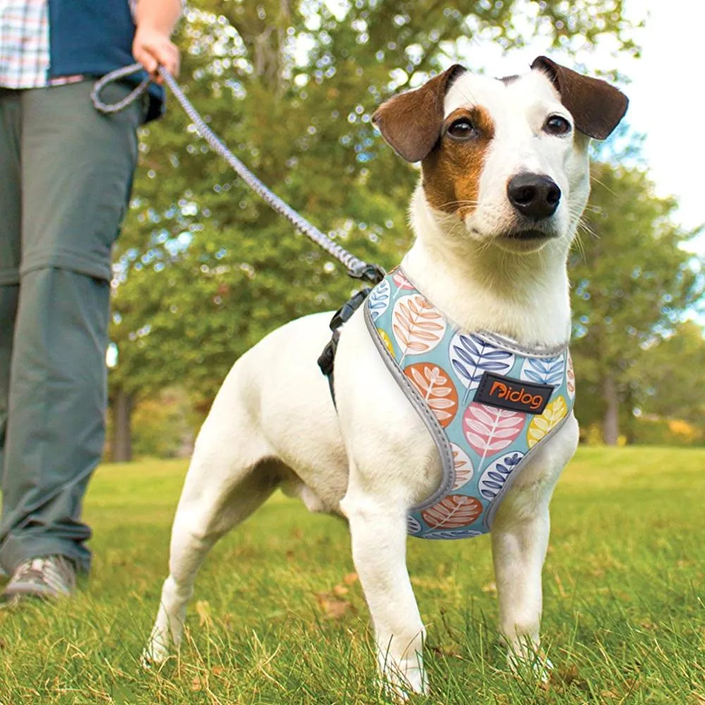 Reflective Bulldog Harness