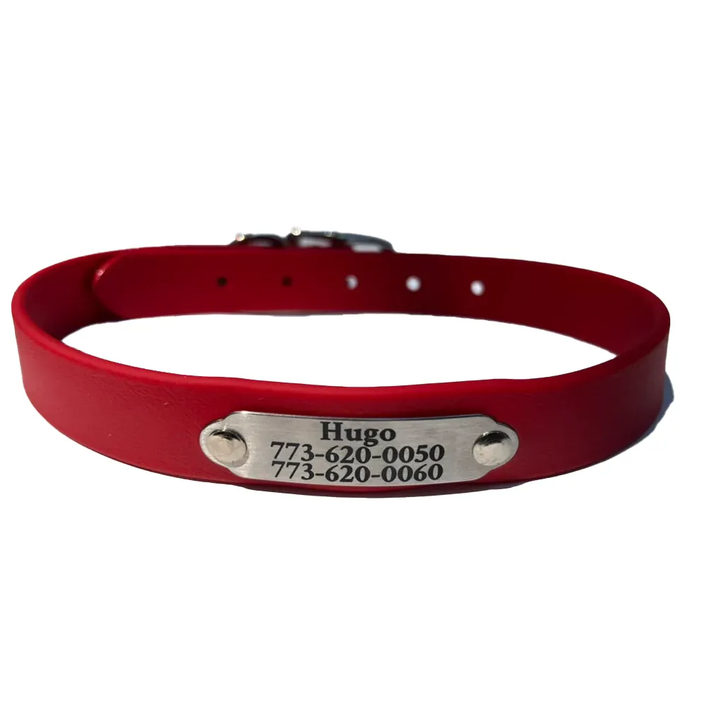 Rita Bean Custom Engraved Waterproof Standard Buckle Dog Collars