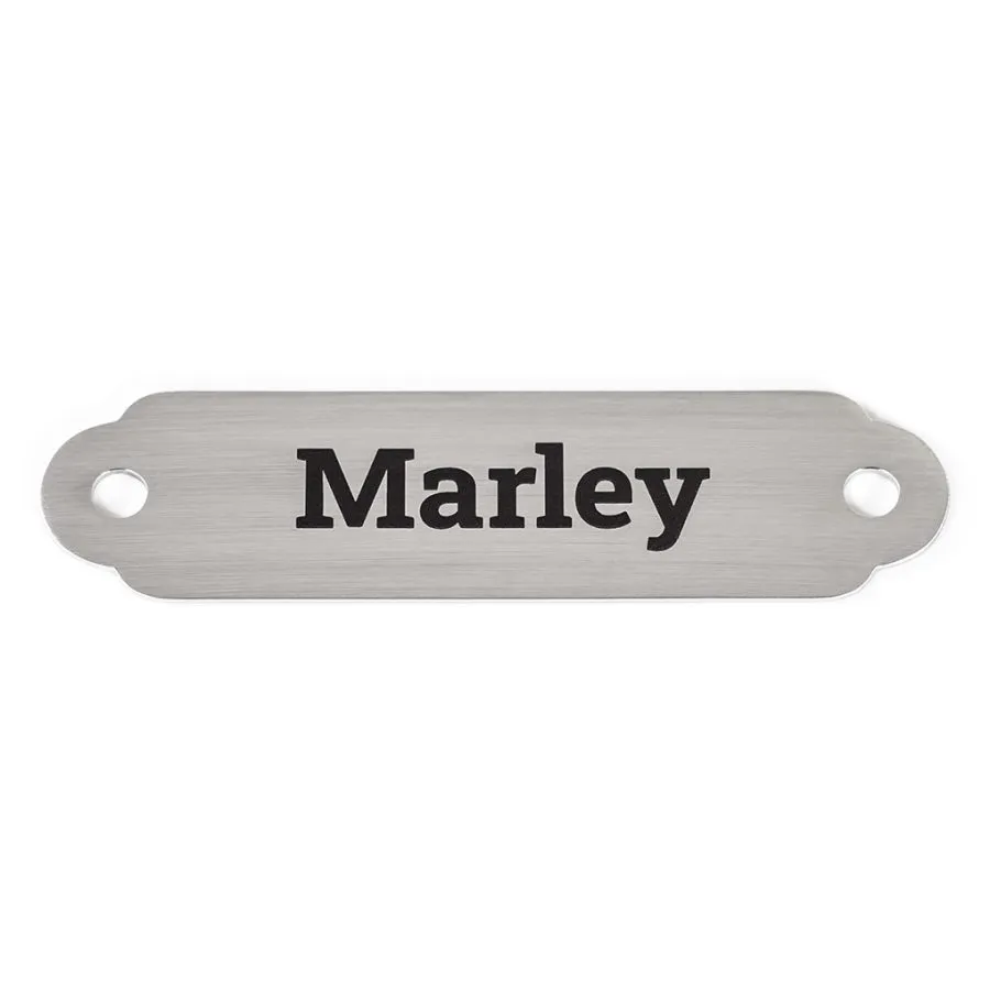 Rita Bean Custom Engraved Waterproof Standard Buckle Dog Collars