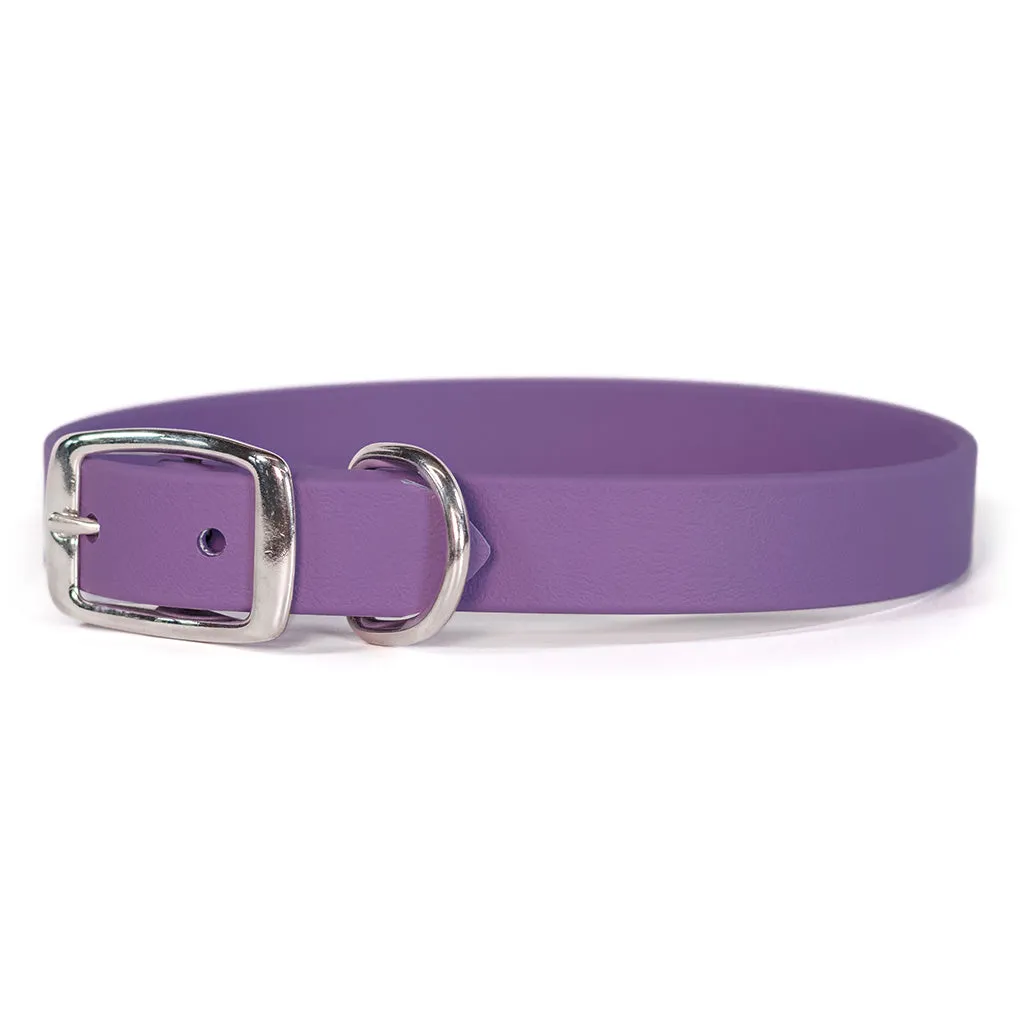Rita Bean Custom Engraved Waterproof Standard Buckle Dog Collars