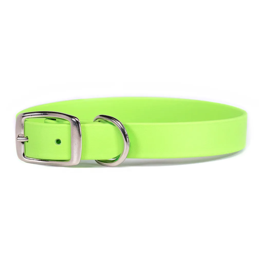 Rita Bean Custom Engraved Waterproof Standard Buckle Dog Collars