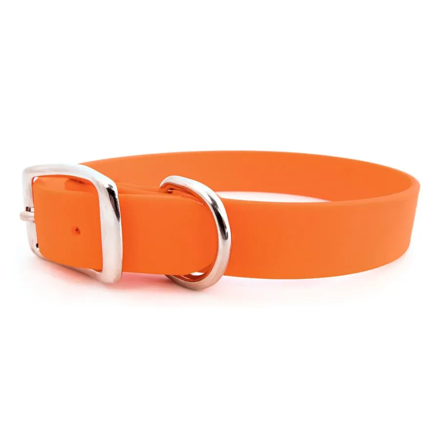 Rita Bean Custom Engraved Waterproof Standard Buckle Dog Collars