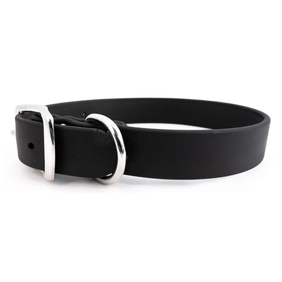 Rita Bean Custom Engraved Waterproof Standard Buckle Dog Collars