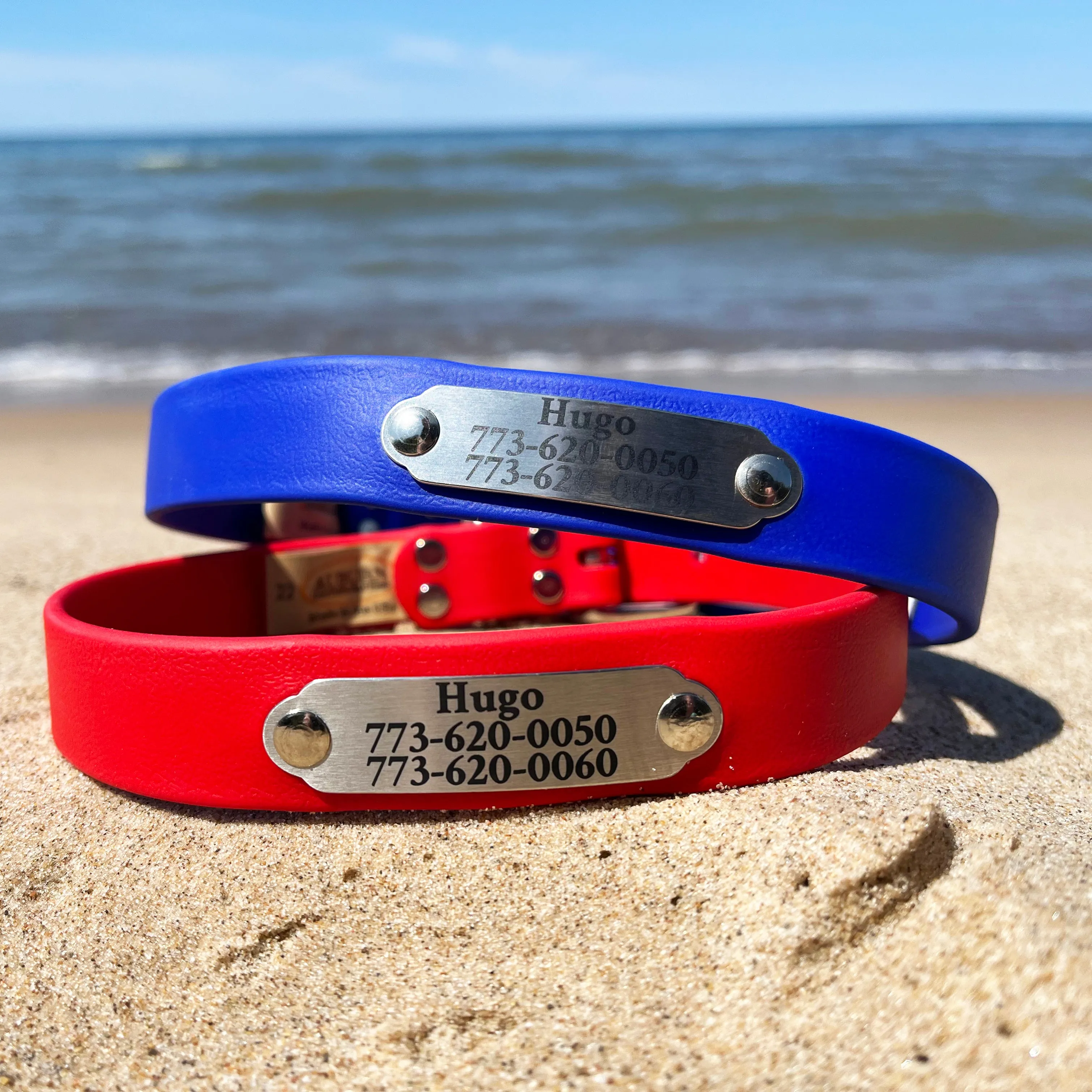 Rita Bean Custom Engraved Waterproof Standard Buckle Dog Collars