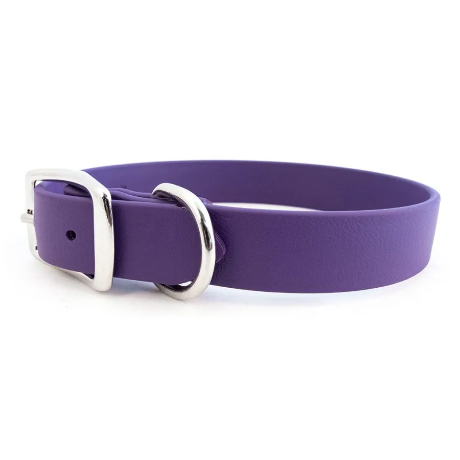 Rita Bean Custom Engraved Waterproof Standard Buckle Dog Collars