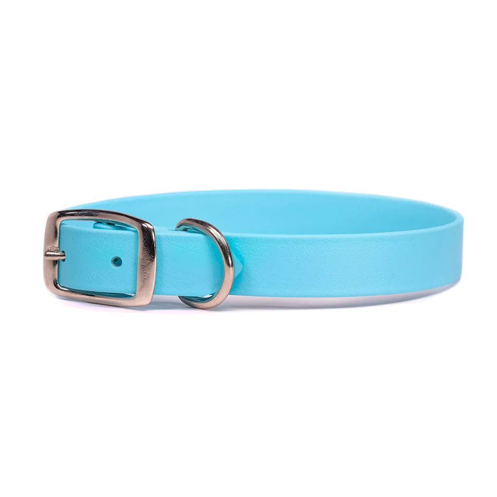 Rita Bean Custom Engraved Waterproof Standard Buckle Dog Collars