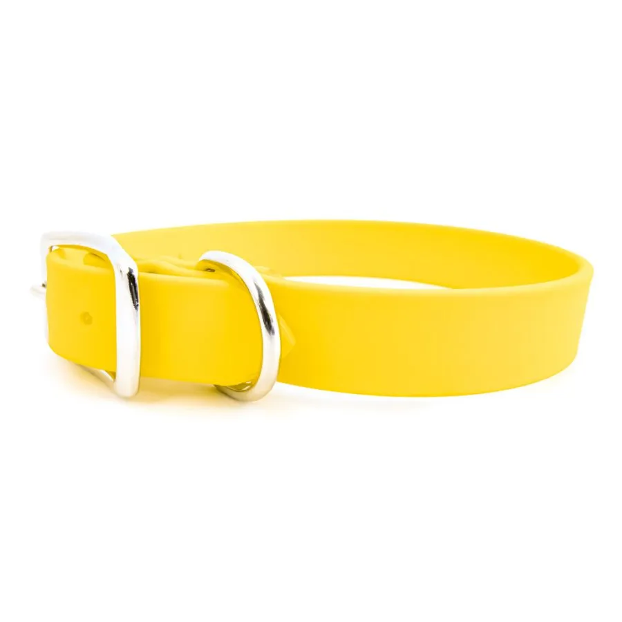 Rita Bean Custom Engraved Waterproof Standard Buckle Dog Collars