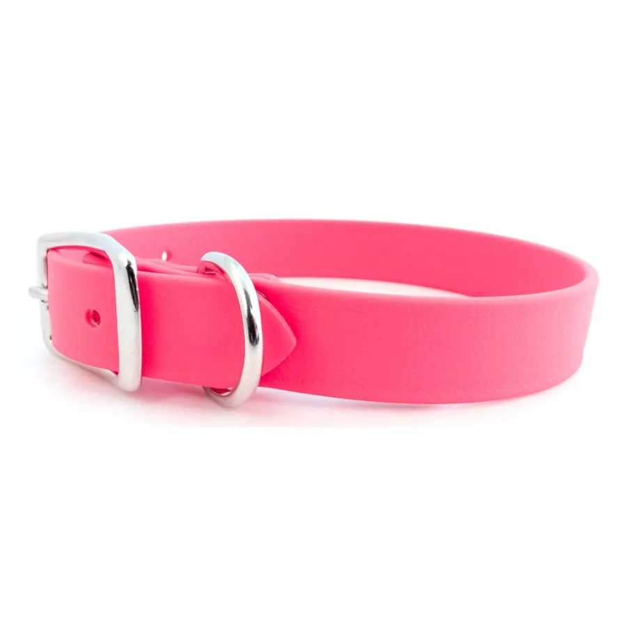 Rita Bean Custom Engraved Waterproof Standard Buckle Dog Collars